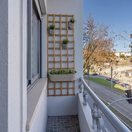 Gaya Avenue Flats - Elegant Contemporary Flats With Balcony Apartment